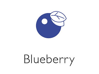 Blåbær Juice 2,25 L Øko