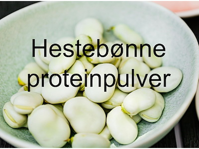 Hestebønne Protein 10 kg